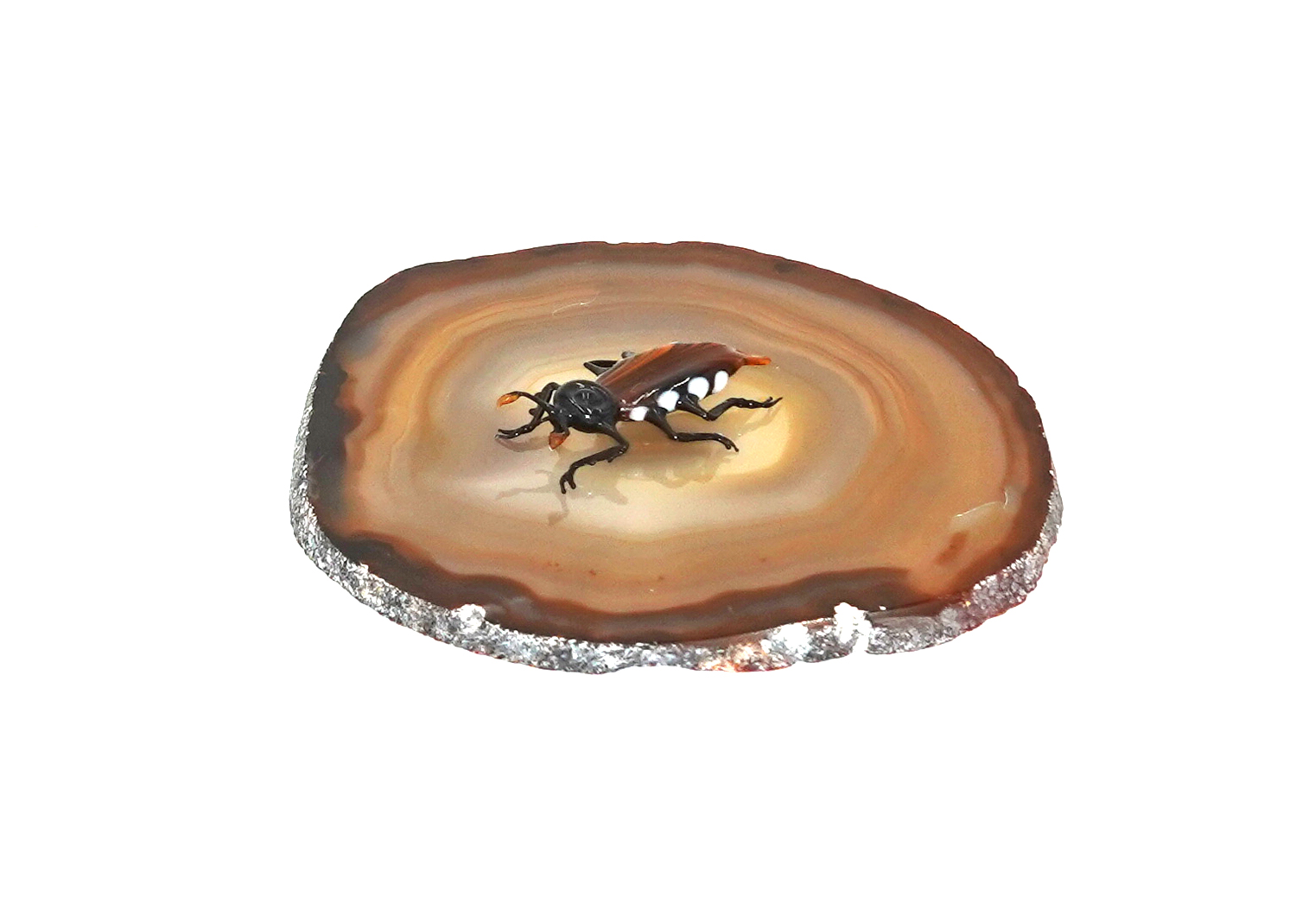 Maikäfer Insekten / Käfer aus Glas von Falk Bauer Lauscha  Maikäfer Insekten / Käfer aus Glas von Falk Bauer Lauscha