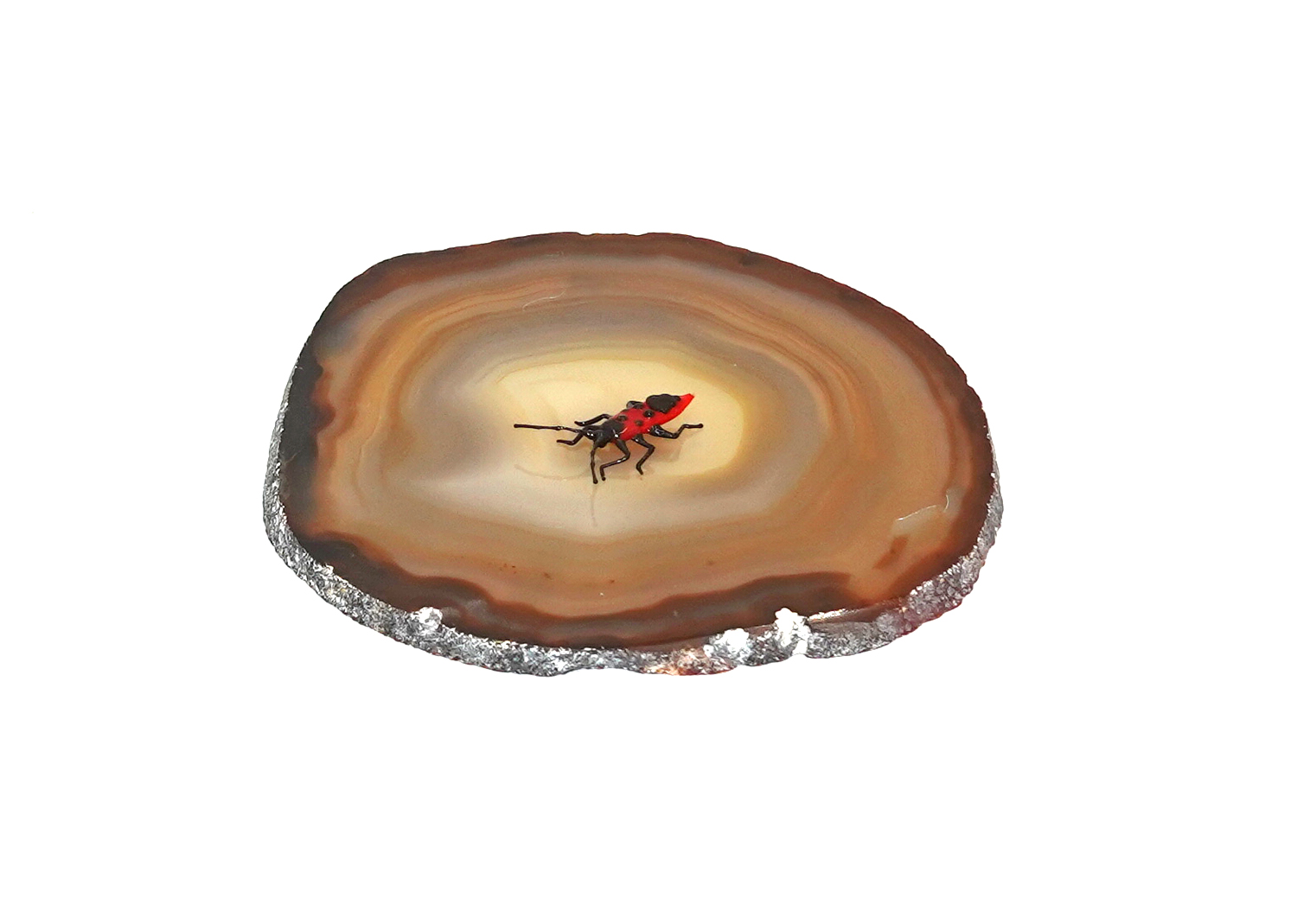 Feuerwanze Insekten / Käfer aus Glas von Falk Bauer Lauscha  Feuerwanze Insekten / Käfer aus Glas von Falk Bauer Lauscha