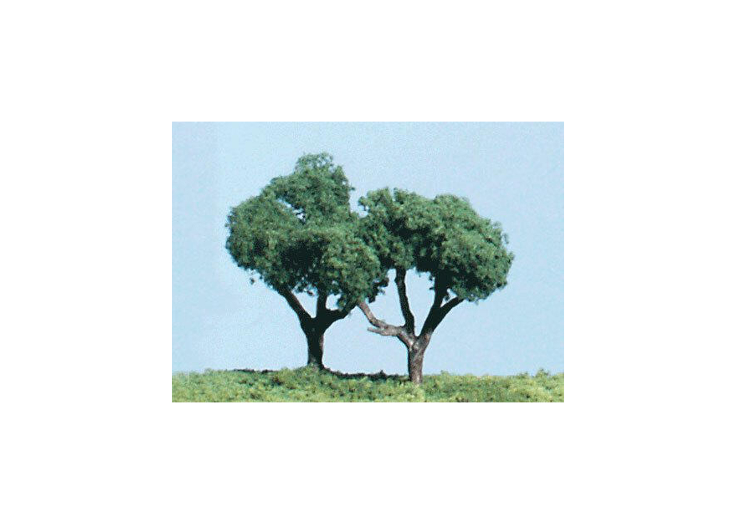 Woodland TK12 Bausatz Zierbaum 5 Stück  Woodland TK12 Bausatz Zierbaum 5 Stück