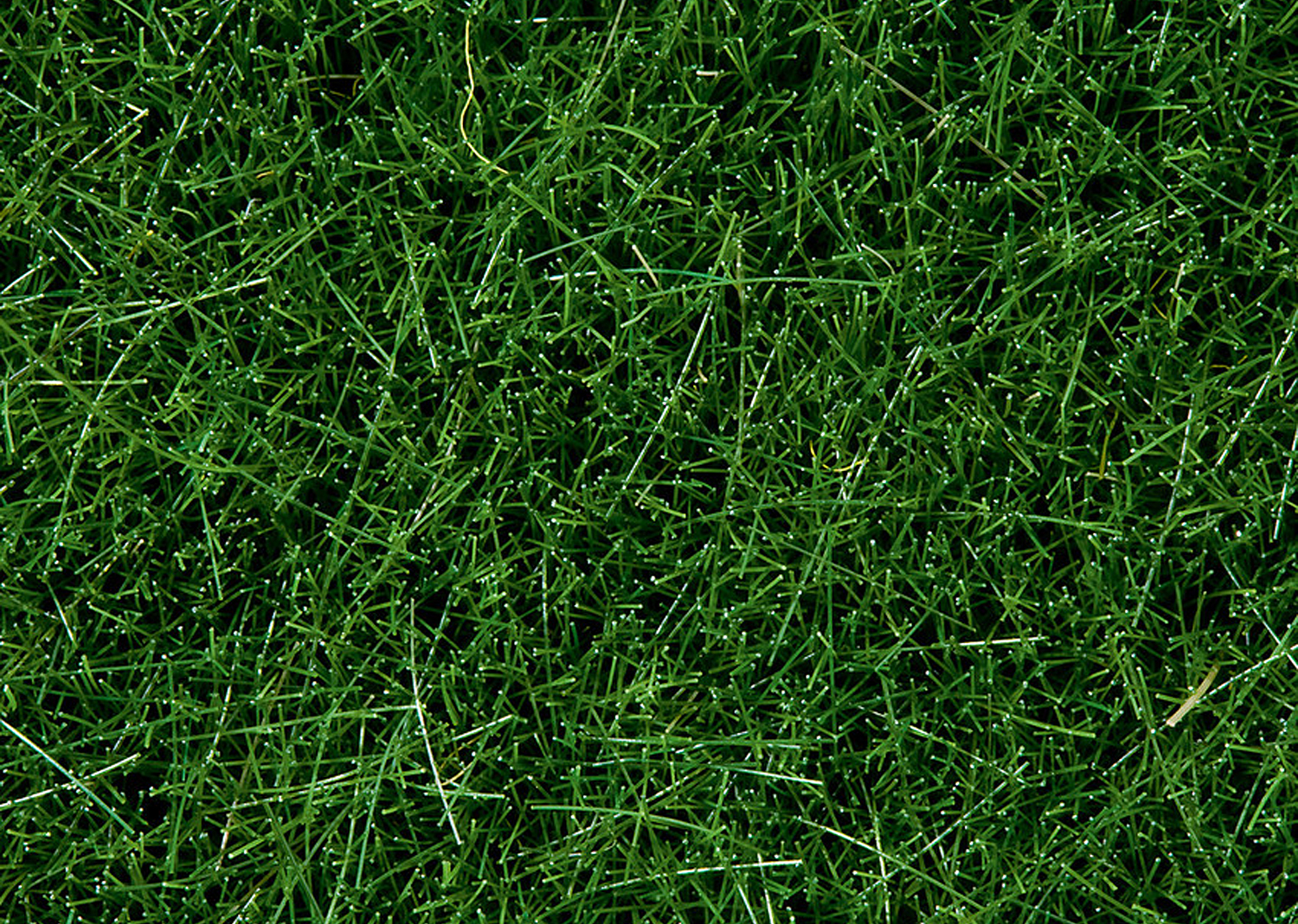 Noch 7094 Wildgras dunkelgrün 100g Dose  Noch 7094 Wildgras dunkelgrün 100g Dose