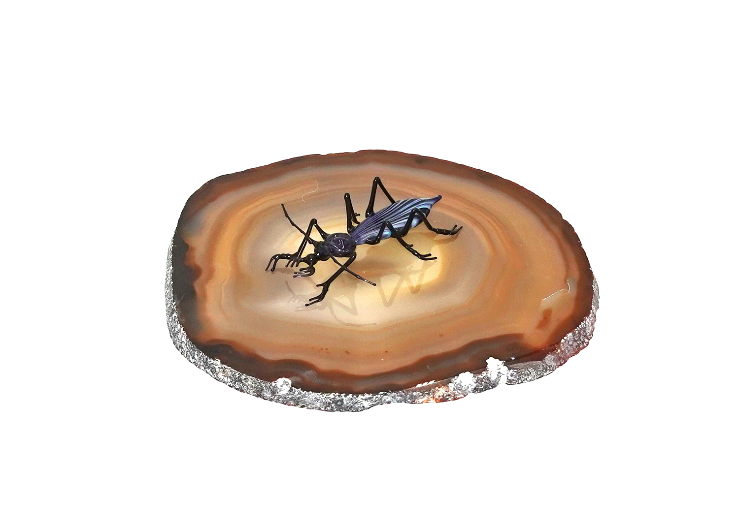asiatischer Laufkäfer Insekten / Käfer aus Glas von Falk Bauer Lauscha  asiatischer Laufkäfer Insekten / Käfer aus Glas von Falk Bauer Lauscha