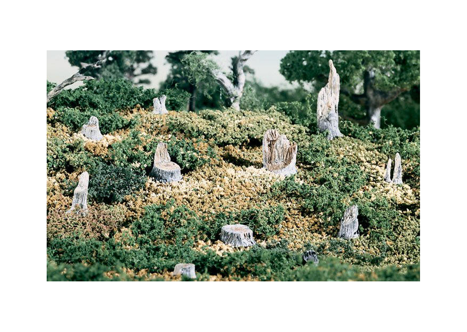 Woodland S32 Baumstümpfe abgebrochen 14 tlg.  Woodland S32 Baumstümpfe abgebrochen 14 tlg.