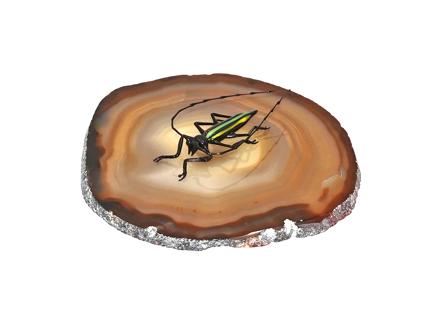 Harlekinkäfer Insekten / Käfer aus Glas von Falk Bauer Lauscha  Harlekinkäfer Insekten / Käfer aus Glas von Falk Bauer Lauscha