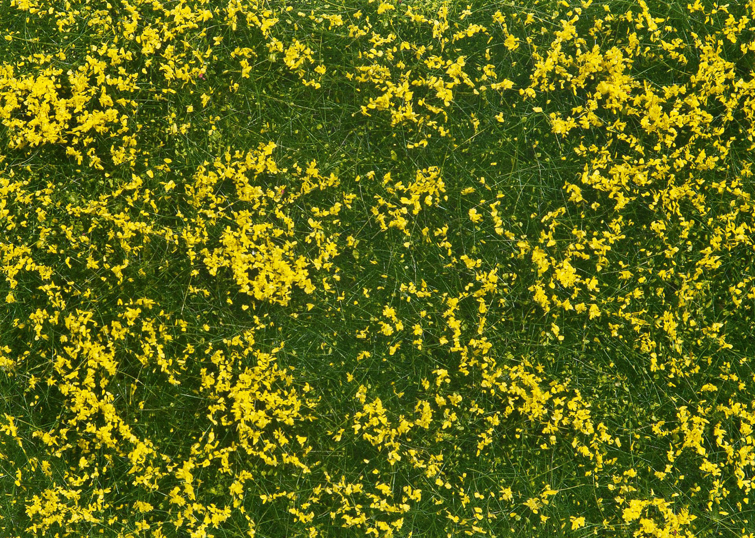 Noch 7255 Bodendecker-Foliage Wiese gelb 
