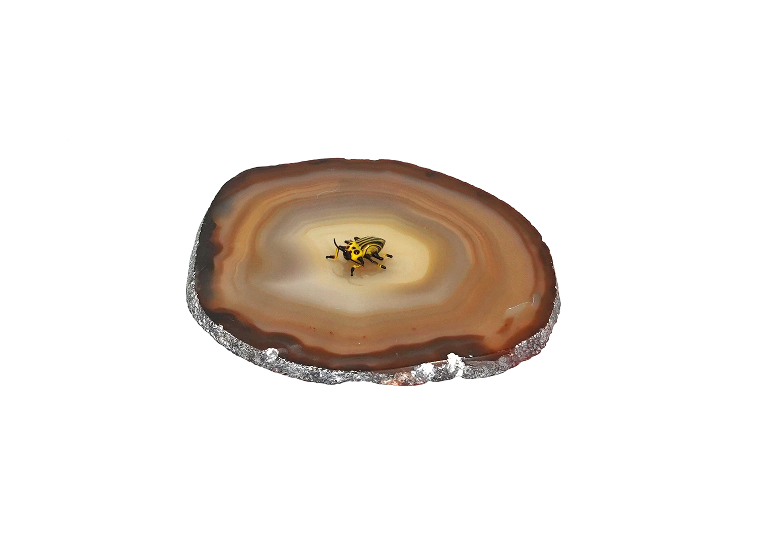 Kartoffelkäfer Insekten / Käfer aus Glas von Falk Bauer Lauscha  Kartoffelkäfer Insekten / Käfer aus Glas von Falk Bauer Lauscha