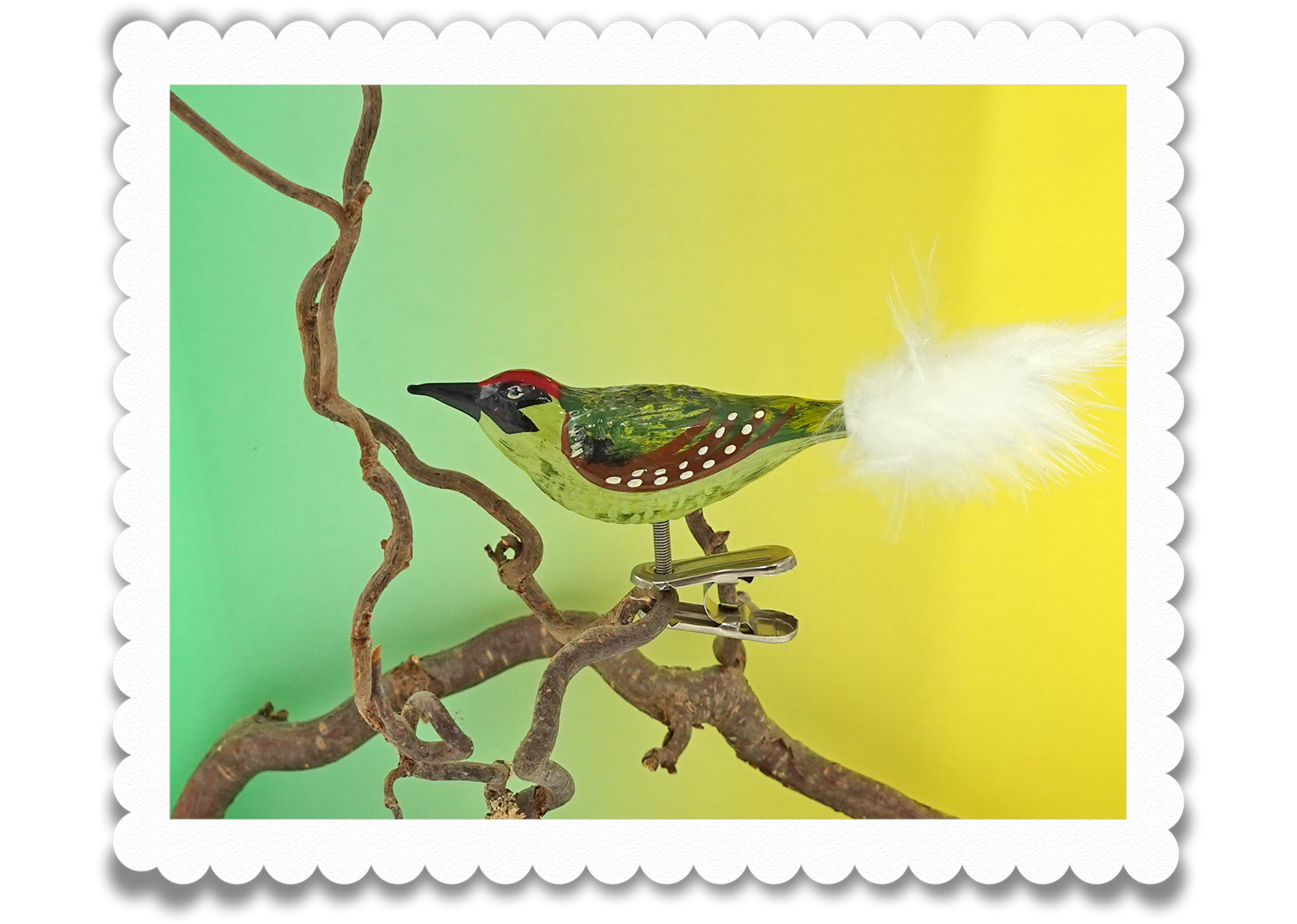 Christbaumschuck Grünspecht Glasvogel Christbaumschuck Grünspecht Glasvogel