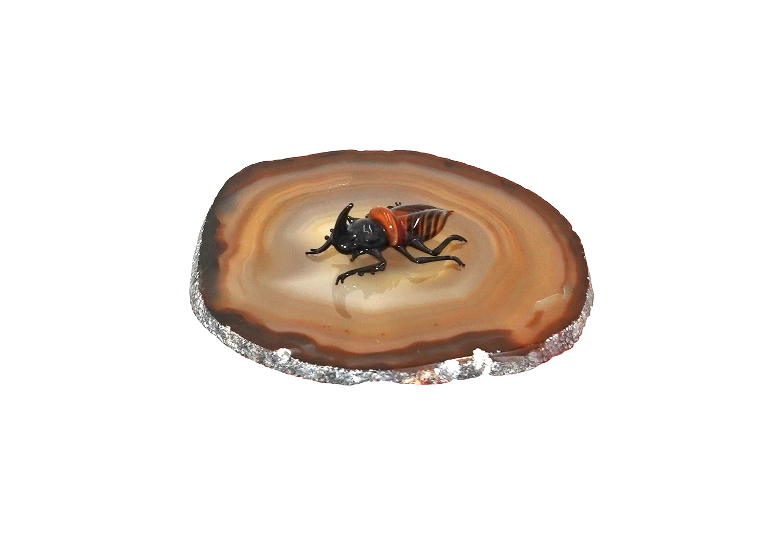 Nashornkäfer Insekten / Käfer aus Glas von Falk Bauer Lauscha  Nashornkäfer Insekten / Käfer aus Glas von Falk Bauer Lauscha