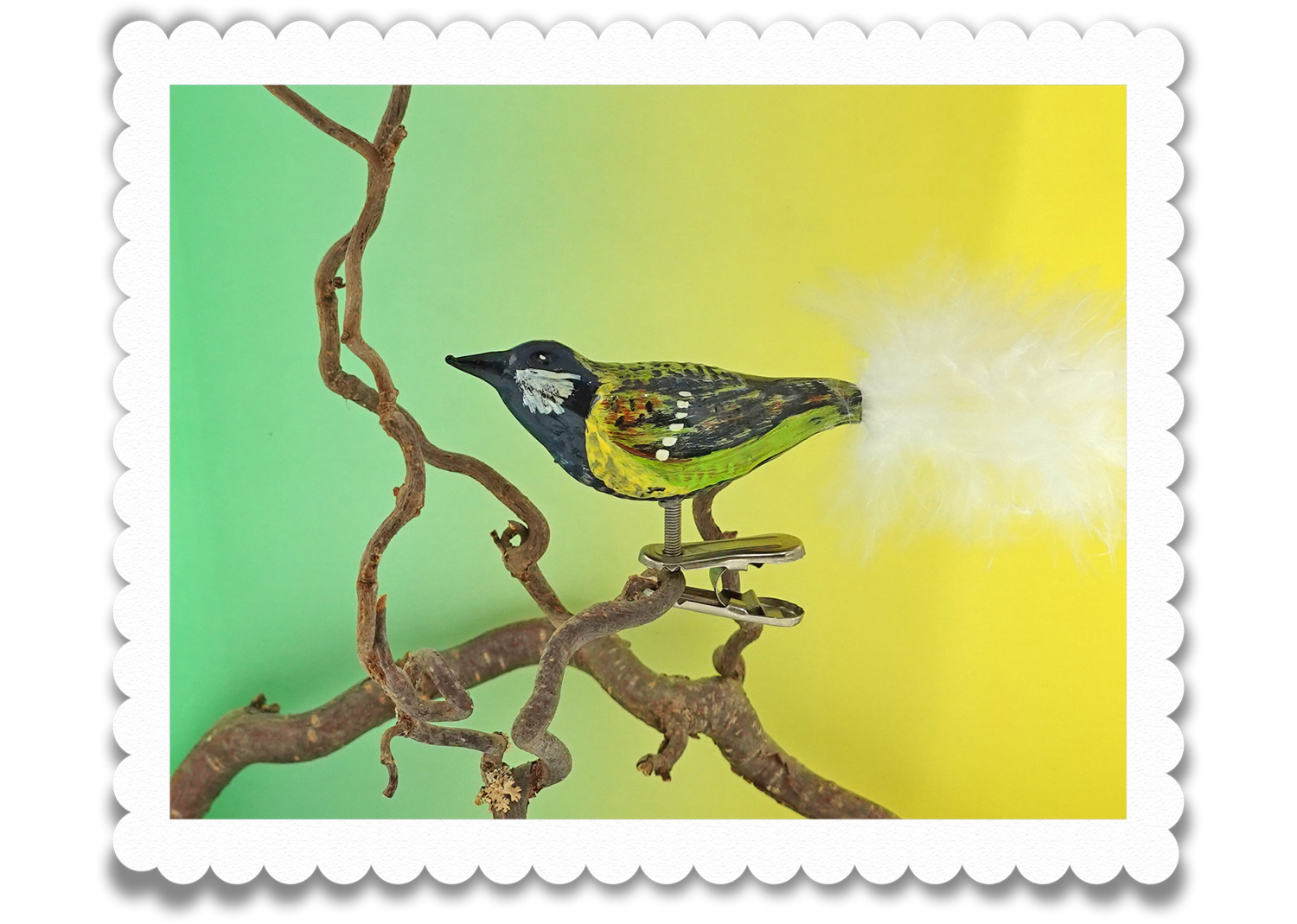 Christbaumschuck Kohlmeise Glasvogel Christbaumschuck Kohlmeise Glasvogel