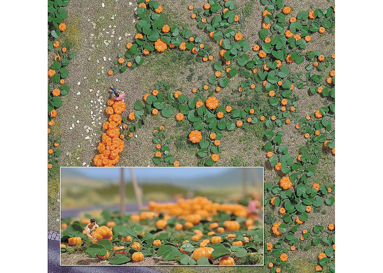 Busch 1201 Kürbisfeld  Busch 1201 Kürbisfeld