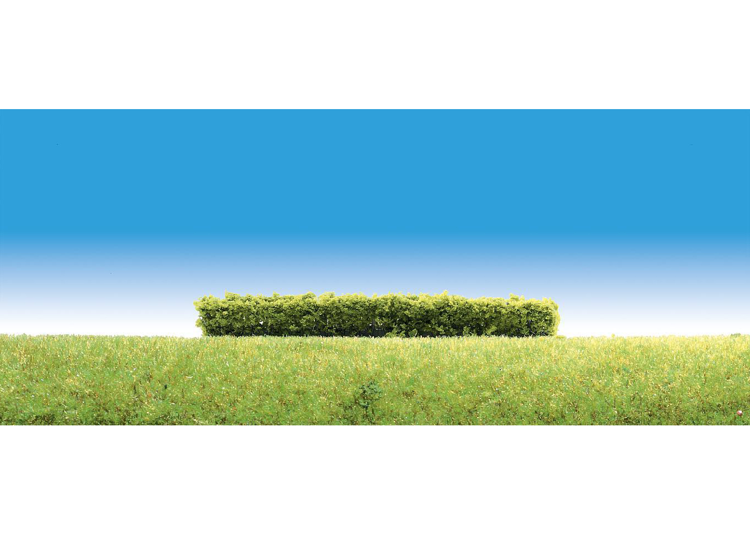 Faller 181398 H0 3 Hecken, hellgrün 