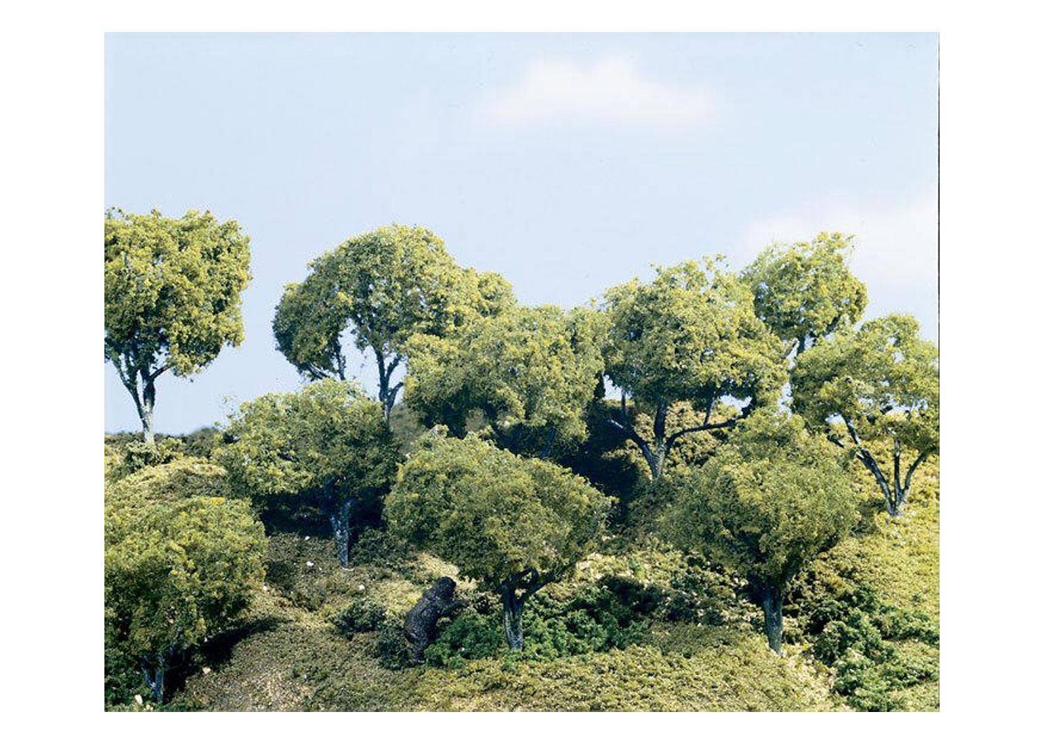 Woodland TK25 Bausatz Hartholzbäume 3 Stück  Woodland TK25 Bausatz Hartholzbäume 3 Stück