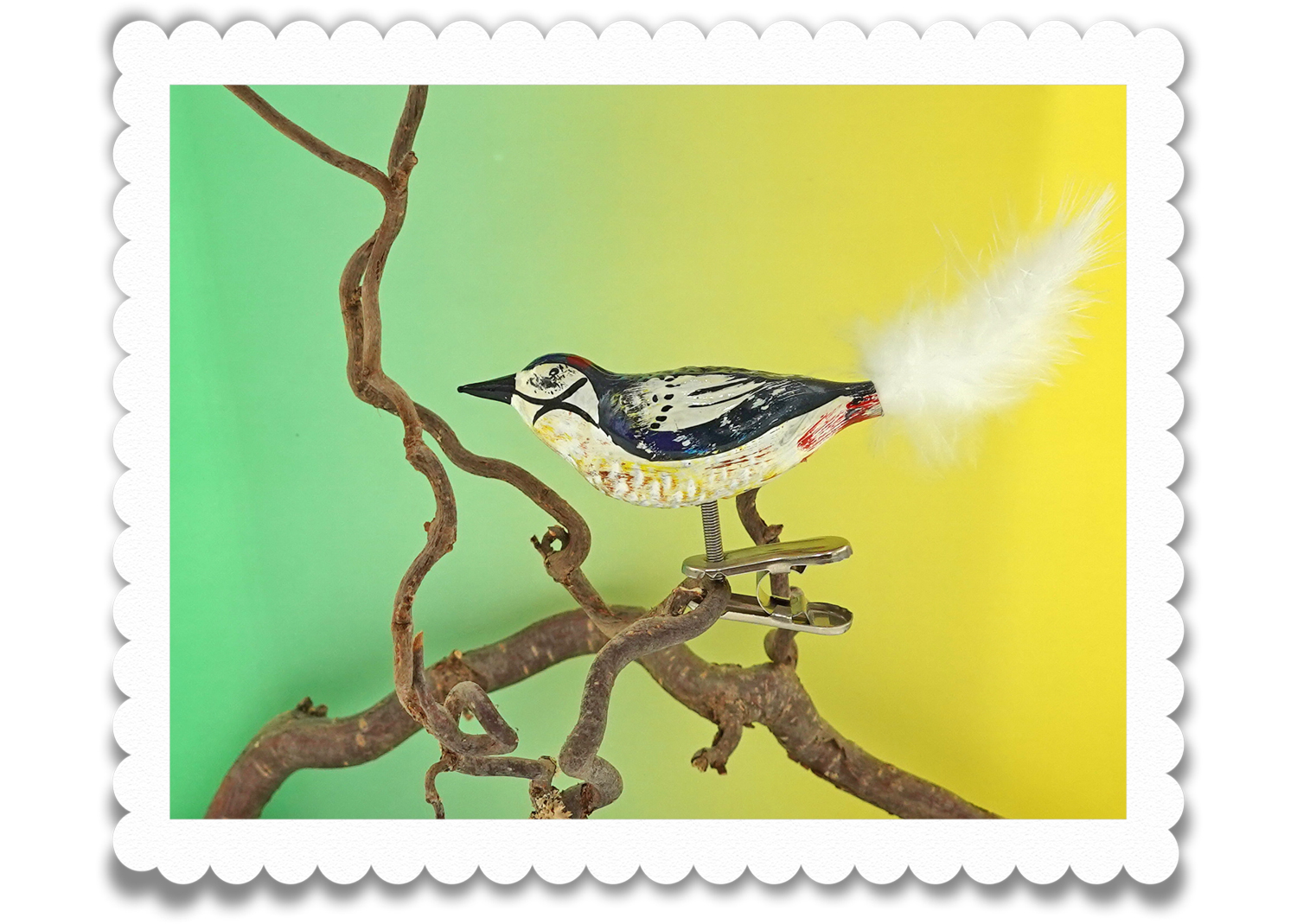 Christbaumschuck Buntspecht Glasvogel Christbaumschuck Buntspecht Glasvogel