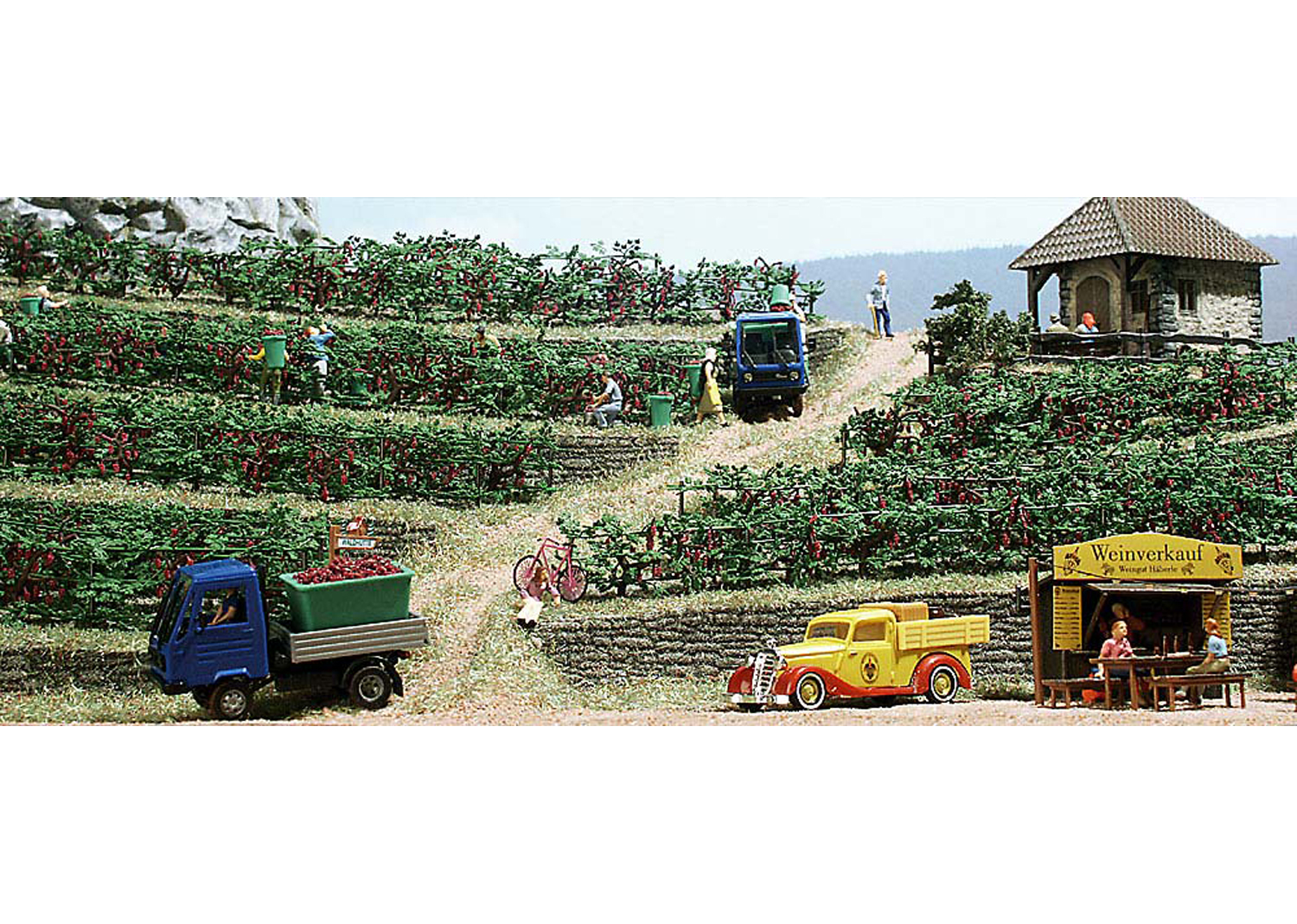 Busch 1200 Weinreben  Busch 1200 Weinreben