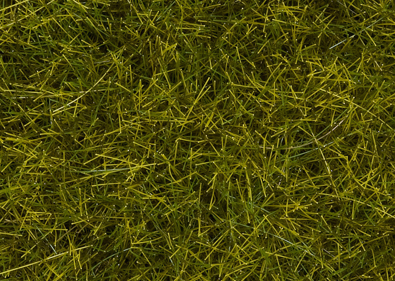 Noch 7095 Wildgras XL Wiese 80g Dose Noch 7095 Wildgras XL Wiese 80g Dose