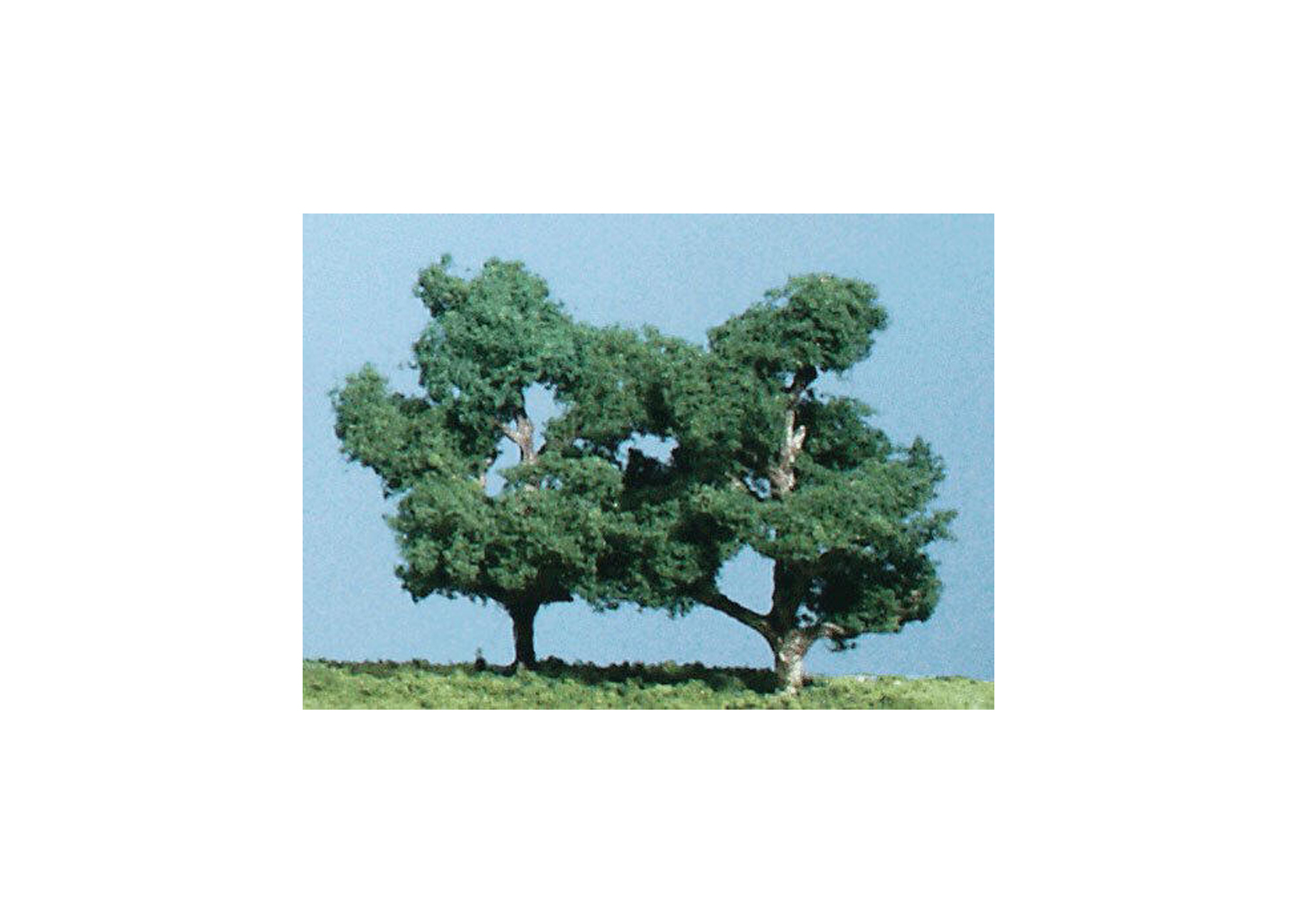 Woodland TK17 Bausatz Trauerweide 3 Stück  Woodland TK17 Bausatz Trauerweide 3 Stück