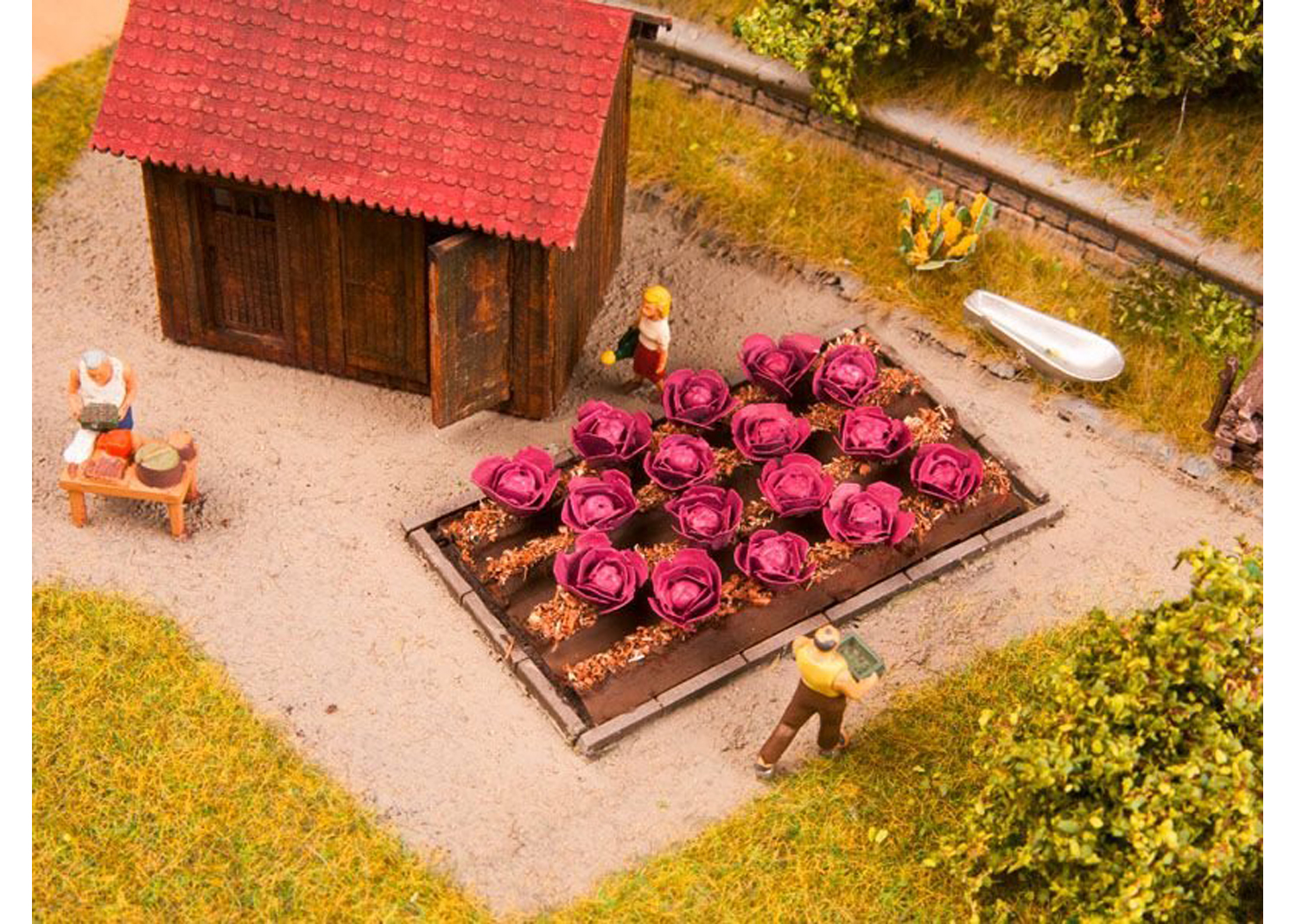 Noch 13218 Rotkohl 